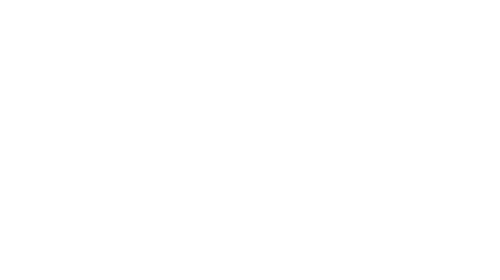 Perspektiere-Hundeerziehungsberatung-Logo-weiss